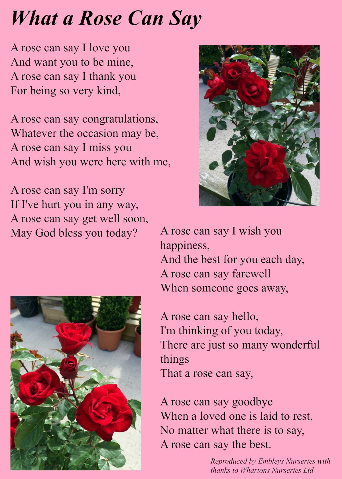 Bildergebnis für roses poem