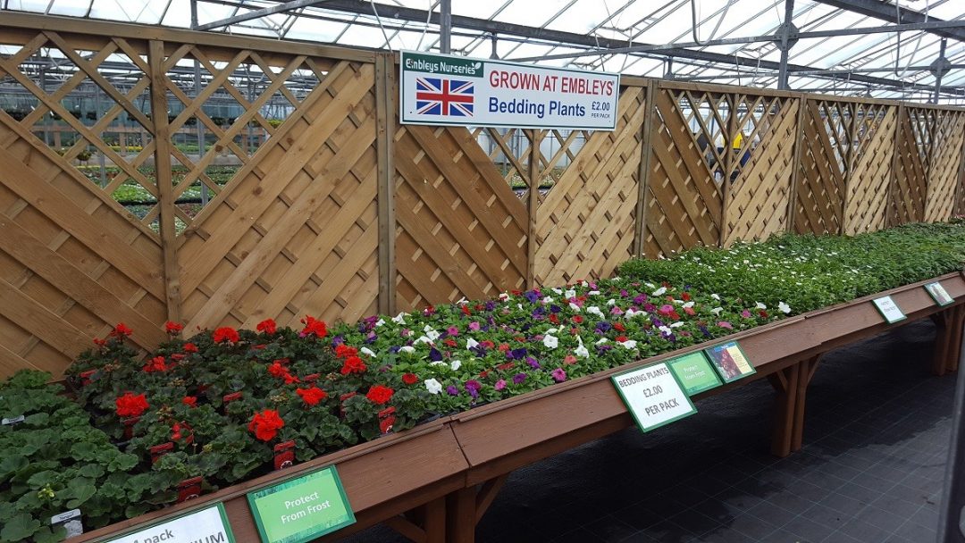 Bedding Plants Embleys Nurseries Traditional Garden Centre